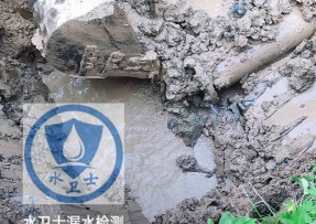 靖宇县水管漏水检测公司5